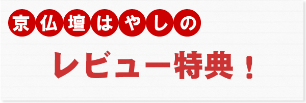 ��ʩ�ŤϤ䤷�Υ�ӥ塼��ŵ